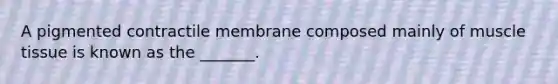 A pigmented contractile membrane composed mainly of muscle tissue is known as the _______.