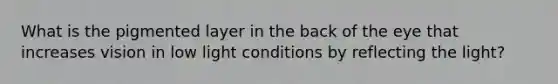 What is the pigmented layer in the back of the eye that increases vision in low light conditions by reflecting the light?