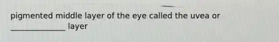 pigmented middle layer of the eye called the uvea or ______________ layer