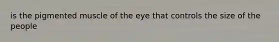 is the pigmented muscle of the eye that controls the size of the people