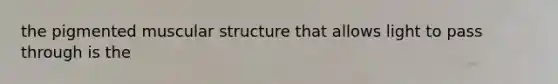 the pigmented muscular structure that allows light to pass through is the
