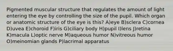 Pigmented muscular structure that regulates the amount of light entering the eye by controlling the size of the pupil. Which organ or anatomic structure of the eye is this? A)eye B)sclera C)cornea D)uvea E)choroid F)iris G)ciliary body H)pupil I)lens J)retina K)macula L)optic nerve M)aqueous humor N)vitreous humor O)meinomian glands P)lacrimal apparatus