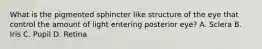 What is the pigmented sphincter like structure of the eye that control the amount of light entering posterior eye? A. Sclera B. Iris C. Pupil D. Retina
