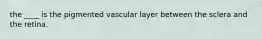 the ____ is the pigmented vascular layer between the sclera and the retina.