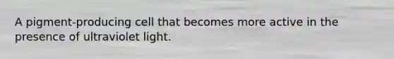 A pigment-producing cell that becomes more active in the presence of ultraviolet light.