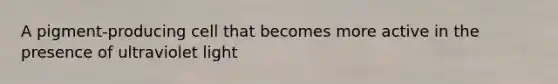 A pigment-producing cell that becomes more active in the presence of ultraviolet light