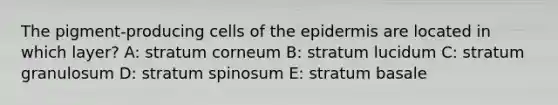 The pigment-producing cells of the epidermis are located in which layer? A: stratum corneum B: stratum lucidum C: stratum granulosum D: stratum spinosum E: stratum basale