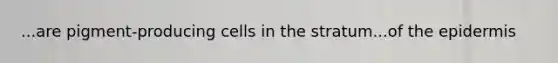 ...are pigment-producing cells in the stratum...of the epidermis