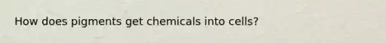 How does pigments get chemicals into cells?