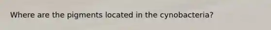 Where are the pigments located in the cynobacteria?