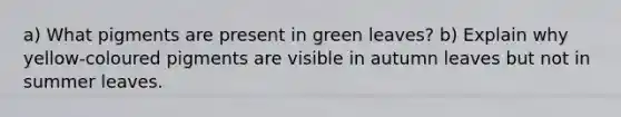 a) What pigments are present in green leaves? b) Explain why yellow-coloured pigments are visible in autumn leaves but not in summer leaves.