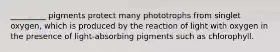 _________ pigments protect many phototrophs from singlet oxygen, which is produced by the reaction of light with oxygen in the presence of light-absorbing pigments such as chlorophyll.