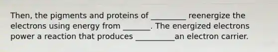 Then, the pigments and proteins of _________ reenergize the electrons using energy from _______. The energized electrons power a reaction that produces __________an electron carrier.