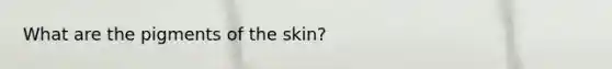 What are the pigments of the skin?