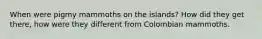 When were pigmy mammoths on the islands? How did they get there, how were they different from Colombian mammoths.