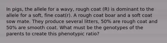 In pigs, the allele for a wavy, rough coat (R) is dominant to the allele for a soft, fine coat(r). A rough coat boar and a soft coat sow mate. They produce several litters, 50% are rough coat and 50% are smooth coat. What must be the genotypes of the parents to create this phenotypic ratio?