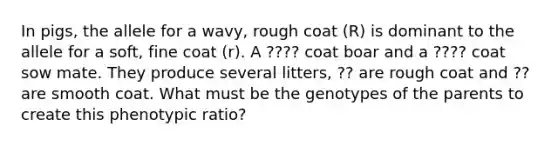 In pigs, the allele for a wavy, rough coat (R) is dominant to the allele for a soft, fine coat (r). A ???? coat boar and a ???? coat sow mate. They produce several litters, ?? are rough coat and ?? are smooth coat. What must be the genotypes of the parents to create this phenotypic ratio?