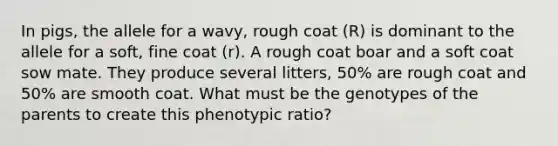 In pigs, the allele for a wavy, rough coat (R) is dominant to the allele for a soft, fine coat (r). A rough coat boar and a soft coat sow mate. They produce several litters, 50% are rough coat and 50% are smooth coat. What must be the genotypes of the parents to create this phenotypic ratio?