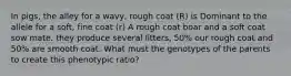 In pigs, the alley for a wavy, rough coat (R) is Dominant to the allele for a soft, fine coat (r) A rough coat boar and a soft coat sow mate. they produce several litters, 50% our rough coat and 50% are smooth coat. What must the genotypes of the parents to create this phenotypic ratio?