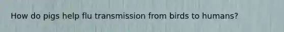 How do pigs help flu transmission from birds to humans?