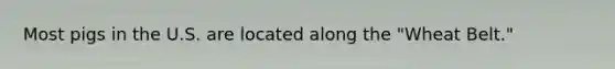 Most pigs in the U.S. are located along the "Wheat Belt."