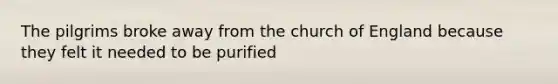 The pilgrims broke away from the church of England because they felt it needed to be purified