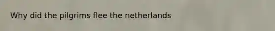 Why did the pilgrims flee the netherlands