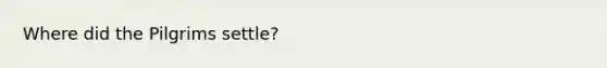 Where did the Pilgrims settle?