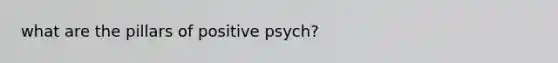 what are the pillars of positive psych?