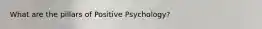 What are the pillars of Positive Psychology?