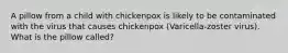 A pillow from a child with chickenpox is likely to be contaminated with the virus that causes chickenpox (Varicella-zoster virus). What is the pillow called?