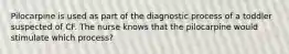 Pilocarpine is used as part of the diagnostic process of a toddler suspected of CF. The nurse knows that the pilocarpine would stimulate which process?