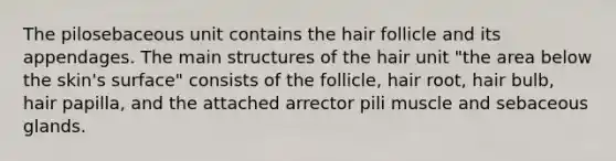 The pilosebaceous unit contains the hair follicle and its appendages. The main structures of the hair unit "the area below the skin's surface" consists of the follicle, hair root, hair bulb, hair papilla, and the attached arrector pili muscle and sebaceous glands.