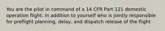 You are the pilot in command of a 14 CFR Part 121 domestic operation flight. In addition to yourself who is jointly responsible for preflight planning, delay, and dispatch release of the flight