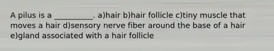 A pilus is a __________. a)hair b)hair follicle c)tiny muscle that moves a hair d)sensory nerve fiber around the base of a hair e)gland associated with a hair follicle