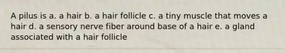 A pilus is a. a hair b. a hair follicle c. a tiny muscle that moves a hair d. a sensory nerve fiber around base of a hair e. a gland associated with a hair follicle