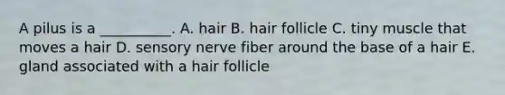 A pilus is a __________. A. hair B. hair follicle C. tiny muscle that moves a hair D. sensory nerve fiber around the base of a hair E. gland associated with a hair follicle