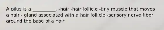 A pilus is a __________. -hair -hair follicle -tiny muscle that moves a hair - gland associated with a hair follicle -sensory nerve fiber around the base of a hair