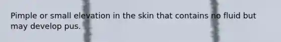 Pimple or small elevation in the skin that contains no fluid but may develop pus.