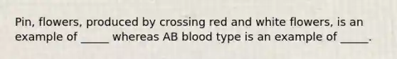 Pin, flowers, produced by crossing red and white flowers, is an example of _____ whereas AB blood type is an example of _____.