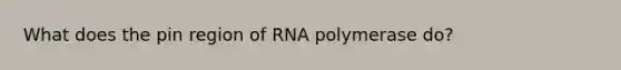 What does the pin region of RNA polymerase do?