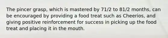 The pincer grasp, which is mastered by 71/2 to 81/2 months, can be encouraged by providing a food treat such as Cheerios, and giving positive reinforcement for success in picking up the food treat and placing it in the mouth.