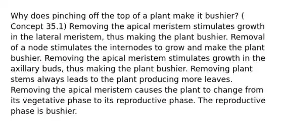 Why does pinching off the top of a plant make it bushier? ( Concept 35.1) Removing the apical meristem stimulates growth in the lateral meristem, thus making the plant bushier. Removal of a node stimulates the internodes to grow and make the plant bushier. Removing the apical meristem stimulates growth in the axillary buds, thus making the plant bushier. Removing plant stems always leads to the plant producing more leaves. Removing the apical meristem causes the plant to change from its vegetative phase to its reproductive phase. The reproductive phase is bushier.