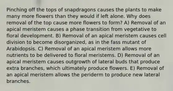 Pinching off the tops of snapdragons causes the plants to make many more flowers than they would if left alone. Why does removal of the top cause more flowers to form? A) Removal of an apical meristem causes a phase transition from vegetative to floral development. B) Removal of an apical meristem causes cell division to become disorganized, as in the fass mutant of Arabidopsis. C) Removal of an apical meristem allows more nutrients to be delivered to floral meristems. D) Removal of an apical meristem causes outgrowth of lateral buds that produce extra branches, which ultimately produce flowers. E) Removal of an apical meristem allows the periderm to produce new lateral branches.