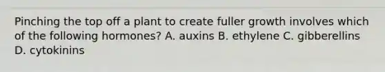 Pinching the top off a plant to create fuller growth involves which of the following hormones? A. auxins B. ethylene C. gibberellins D. cytokinins