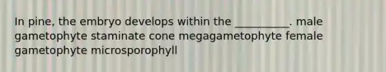 In pine, the embryo develops within the __________. male gametophyte staminate cone megagametophyte female gametophyte microsporophyll