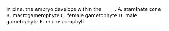 In pine, the embryo develops within the _____. A. staminate cone B. macrogametophyte C. female gametophyte D. male gametophyte E. microsporophyll