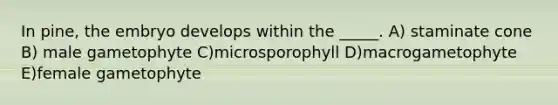 In pine, the embryo develops within the _____. A) staminate cone B) male gametophyte C)microsporophyll D)macrogametophyte E)female gametophyte