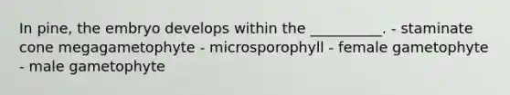 In pine, the embryo develops within the __________. - staminate cone megagametophyte - microsporophyll - female gametophyte - male gametophyte