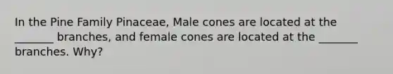 In the Pine Family Pinaceae, Male cones are located at the _______ branches, and female cones are located at the _______ branches. Why?